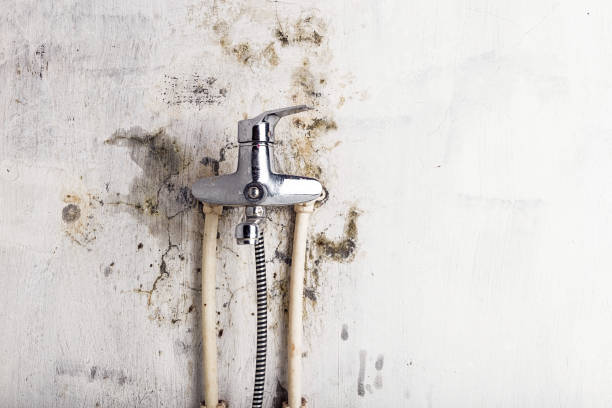 Best Residential Mold Removal  in Indian Wells, CA
