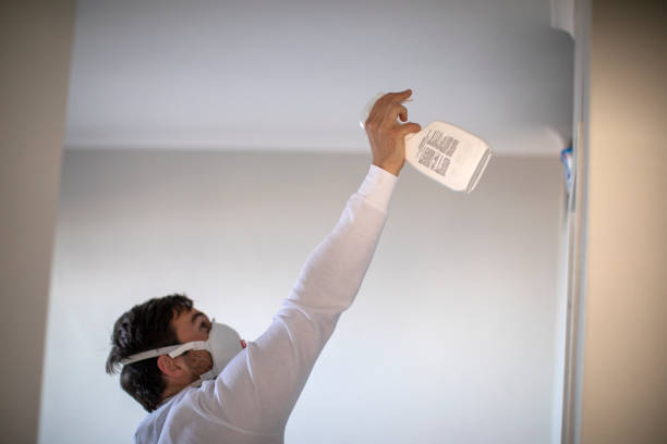 Best Black Mold Removal  in Indian Wells, CA