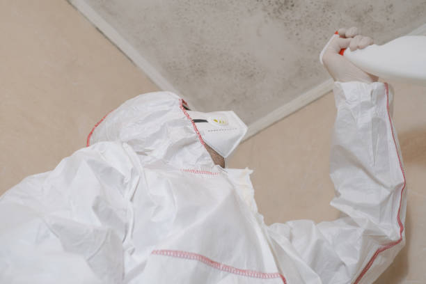 Best Commercial Mold Removal  in Indian Wells, CA