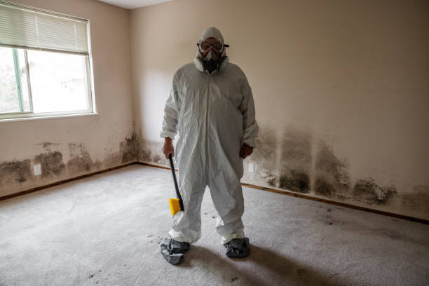 Office Mold Removal Services in Indian Wells, CA